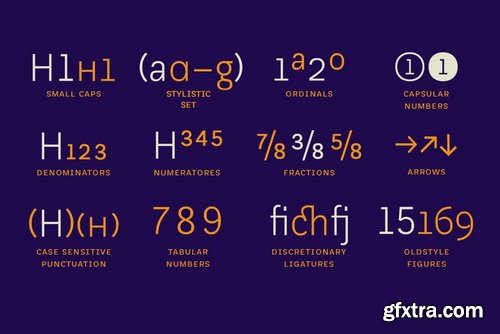Platz Grotesk Font Family