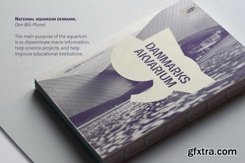 Platz Grotesk Font Family