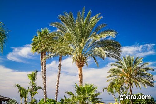 Vacation Tourism Holiday Island Beach Sea 25xJPG