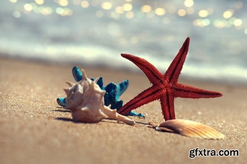 Vacation Tourism Holiday Island Beach Sea 25xJPG