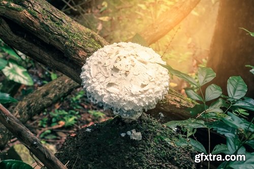 Vacation Tourism Holiday Island Beach Sea 25xJPG