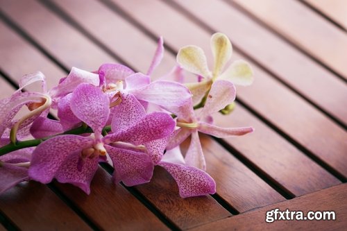 Vacation Tourism Holiday Island Beach Sea 25xJPG