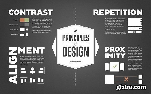 Graphic Design Basics: Core Principles for Visual Design