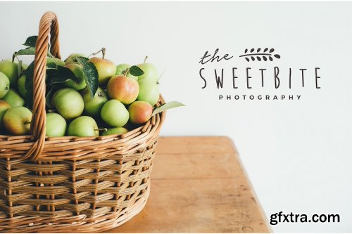 CreativeMarket 25 Delicate Feminine Logos - Vol 2 2118779