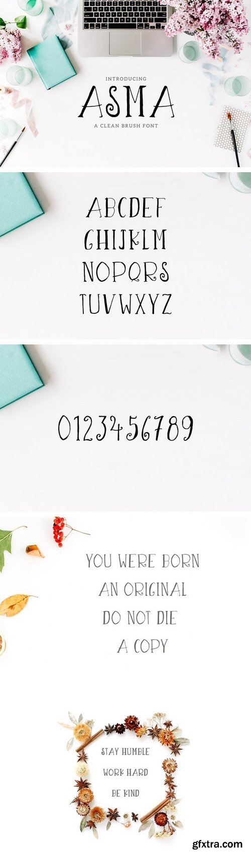 CM - Asma Brush 3 Font Family Pack 1498082