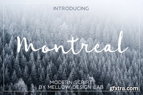 CreativeMarket 147 IN 1 Font Bundle SALE! 2261227 CreativeMarket 147 IN 1 Font Bundle SALE! 2261227