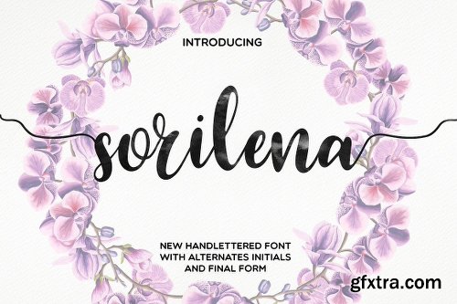 CreativeMarket 147 IN 1 Font Bundle SALE! 2261227 CreativeMarket 147 IN 1 Font Bundle SALE! 2261227