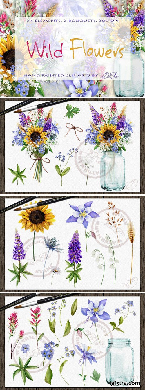 CM - Wild Flowers Watercolor Clip Art 2203176