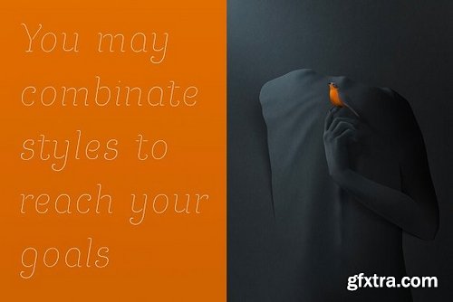 CM - Allora family  2237372