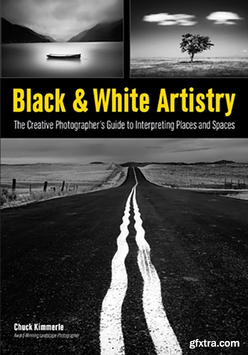 Black & White Artistry: The Creative Photographer\'s Guide to Interpreting Places and Spaces