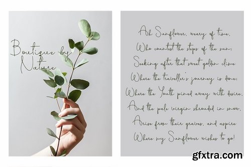 CM - TwilightZone 2233863