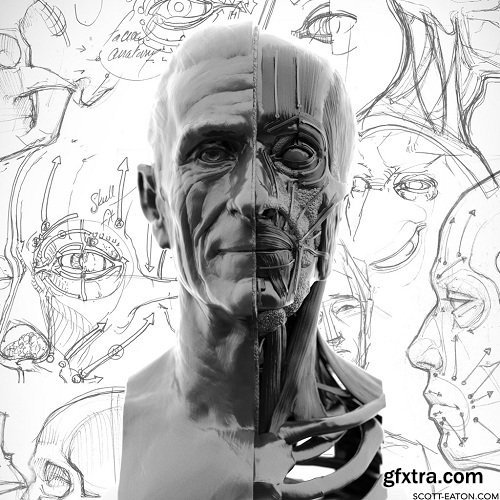 Scott Eaton - Portraiture &amp; Facial Anatomy