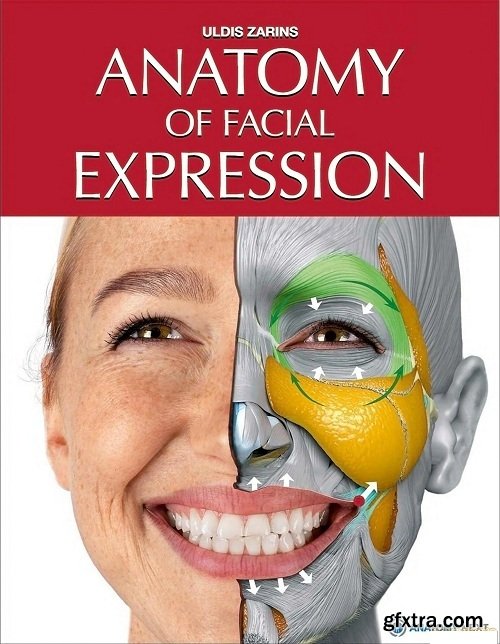 Anatomy of Facial Expressions