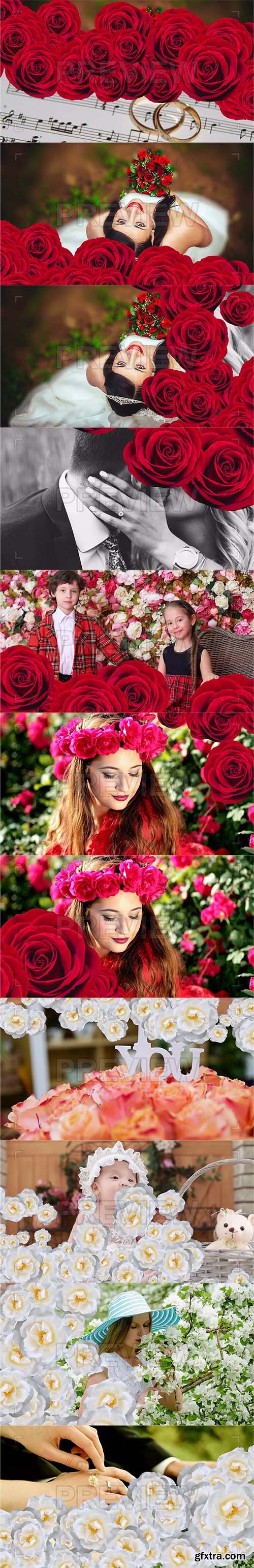 21 Flowers Transitions 63567 21 Flowers Transitions 63567