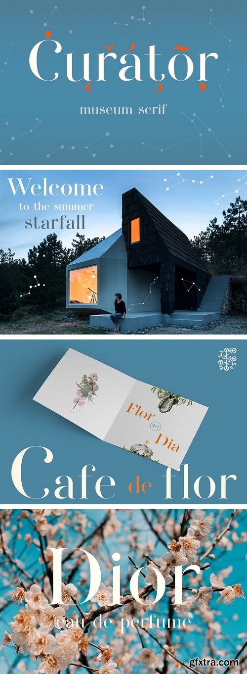 CM - Curator 1978358