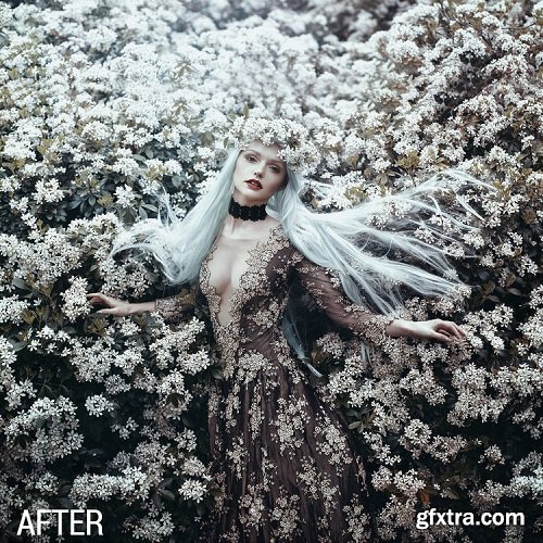 Fineartactions - FOREVER IN BLOOM