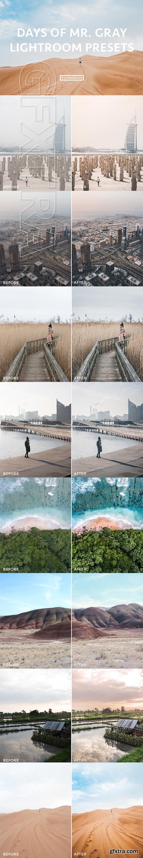 Days of Mr. Gray Lightroom Presets