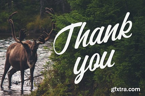 CM - Adrenaline 2275752