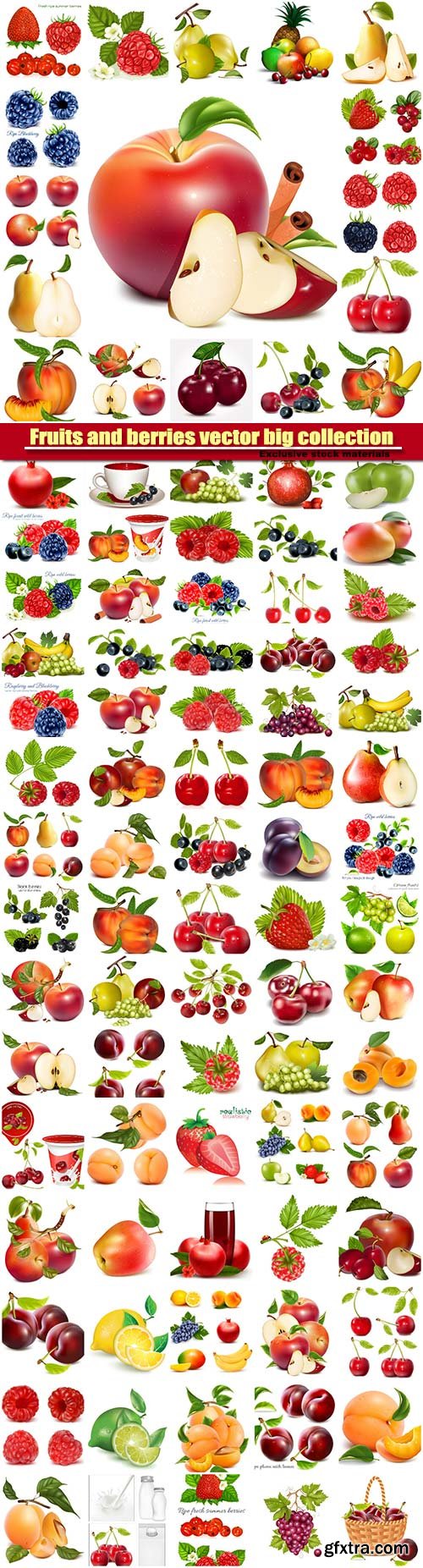 Fruits and berries vector big collection Fruits and berries vector big collection