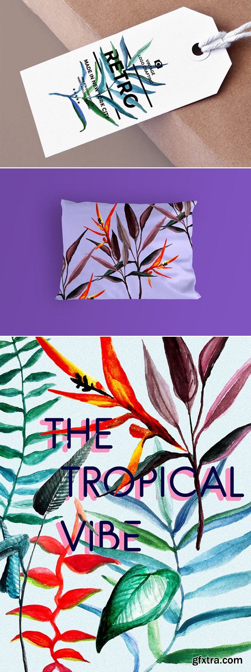 The Tropical Vibe - Brush and Elements (ABR/PNG) The Tropical Vibe - Brush and Elements (ABR/PNG)