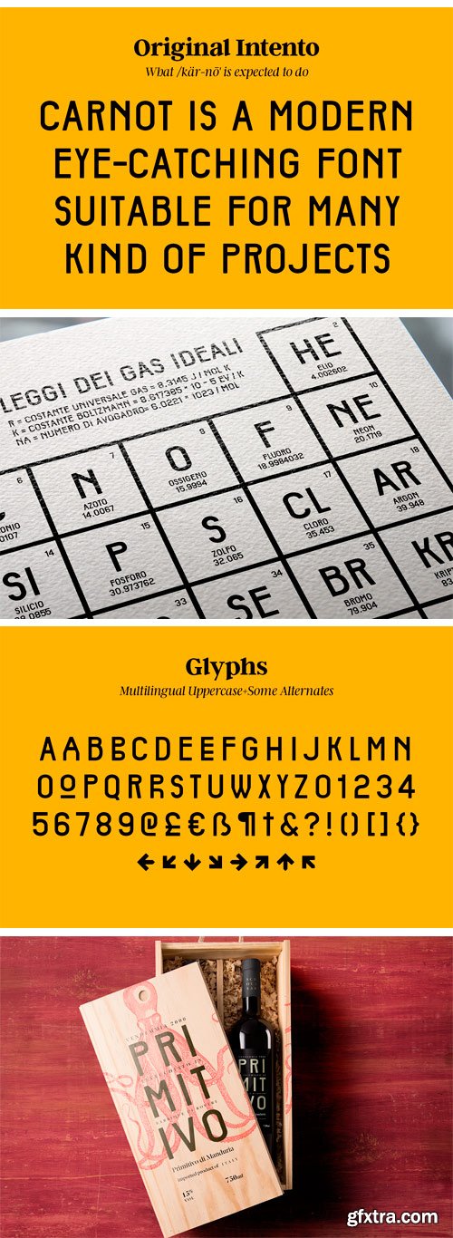 Fontbundles - Carnot Typeface 11569