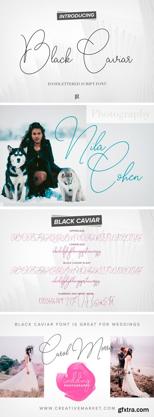 Thehungryjpeg - Black Caviar Script Font 3436202