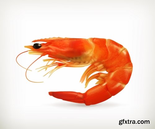 Prawn Shrimp Seafood Menu Vector Image 25xEPS
