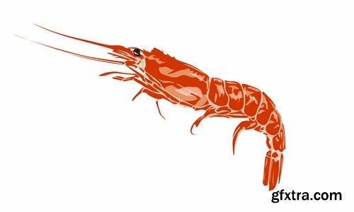 Prawn Shrimp Seafood Menu Vector Image 25xEPS
