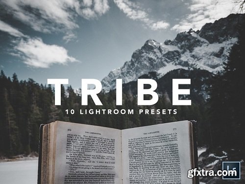 Christian Mate Grab - 10 LIGHTROOM PRESETS | TRIBE