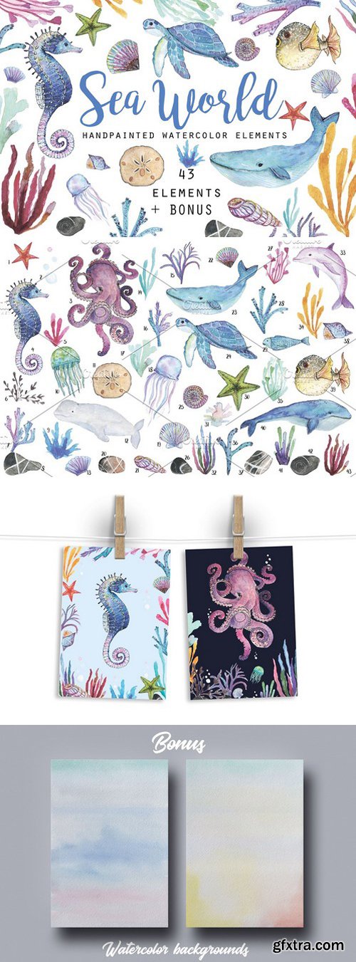 43 Elements of Undersea World 1622590