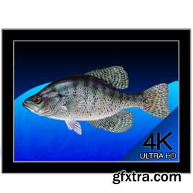 Aquarium 4K - Live Wallpaper 1.0 MAS