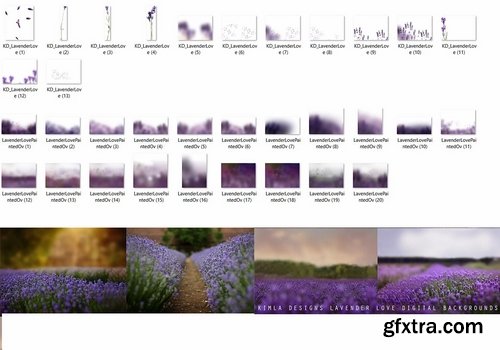 CM - Lavender Love Overlays & Backgrounds 2320204