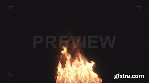 Fire Alpha Channel 69542 Fire Alpha Channel 69542