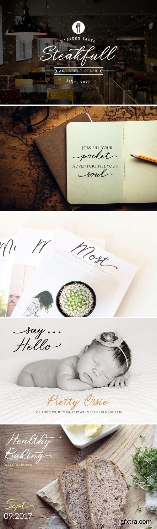 CM - Steakfull Script 2093585