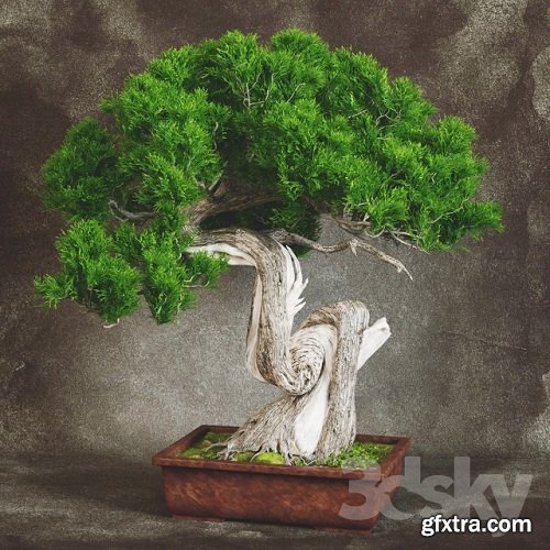 Bonsai 2 3d Model