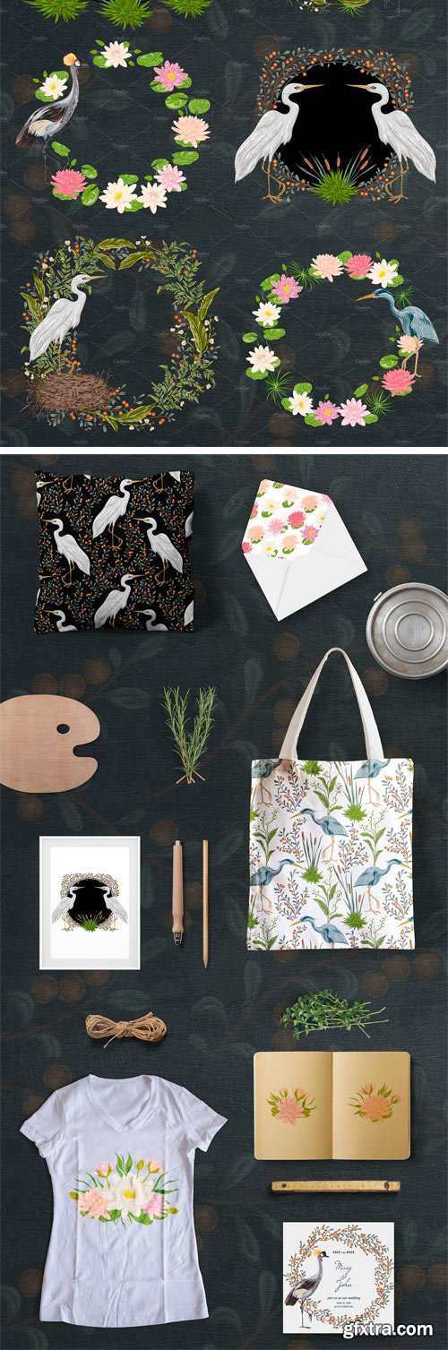 CM - Swamp Flora and Fauna 2270825