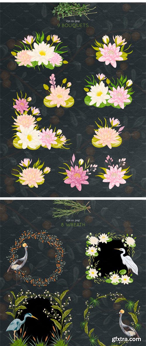 CM - Swamp Flora and Fauna 2270825