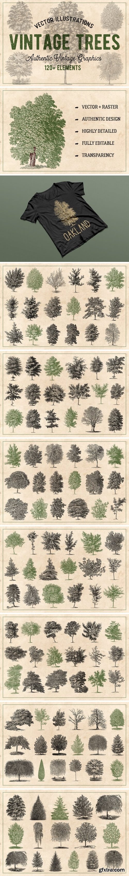 CM - 122 Vintage Trees (Vector) 1790224