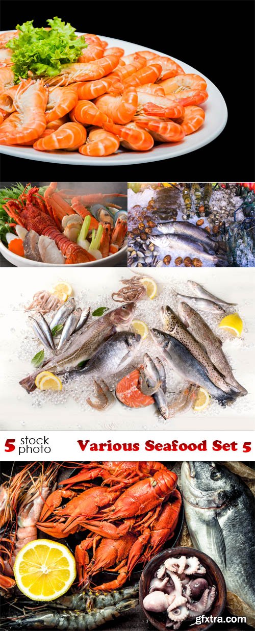 Photos - Various Seafood Set 5