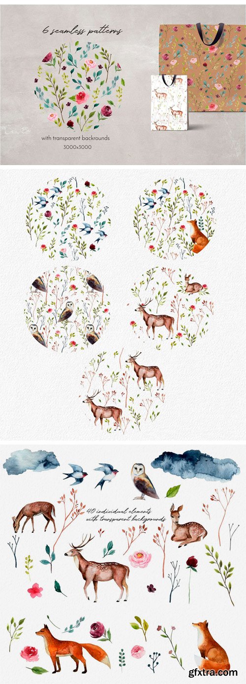 CM - Woodland Walk 2264171