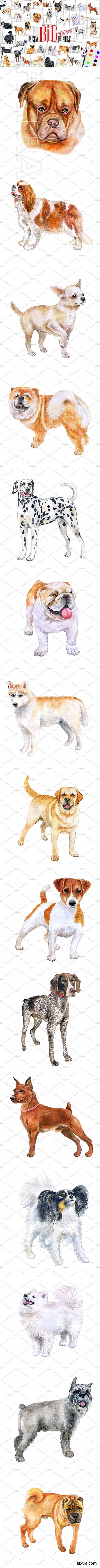 CreativeMarket - Watercolor Dogs BIG BUNDLE 2391277
