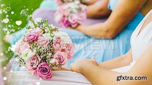 5 Wedding Transitions (Pack 2 - Multicolored) 74005