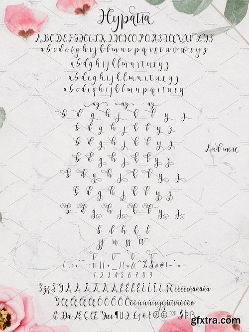 CM - Hypatia Script 2382925