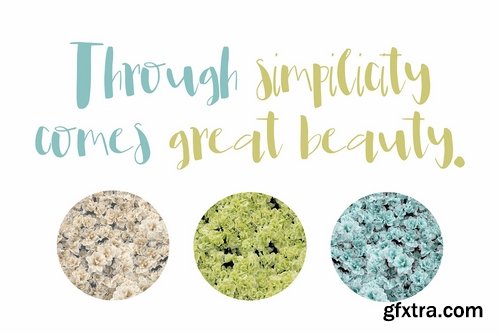 CM - Leona Font 2361599