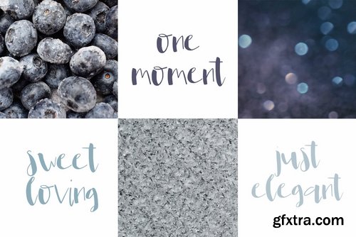 CM - Leona Font 2361599