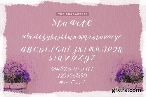 CM - Stuarte Font 2373762