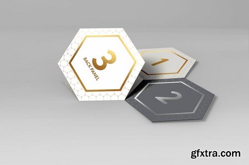 Hexagon Fold Out Style Brochure