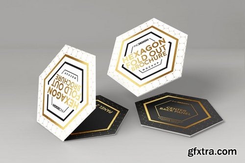 Hexagon Fold Out Style Brochure