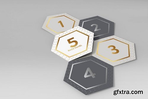 Hexagon Fold Out Style Brochure