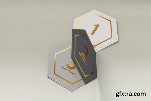 Hexagon Fold Out Style Brochure